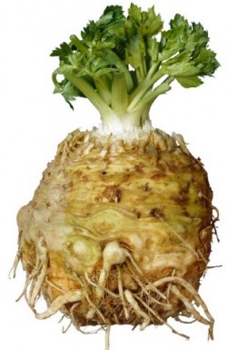 celery root